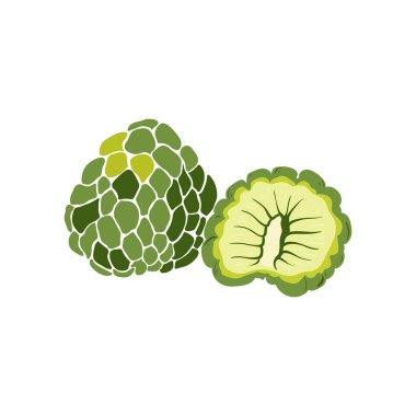 Kremalı Elma. Tropik meyve ve grafik tasarım elementleri. İçindekiler renk klipsleri. Sketch tarzı smoothie veya meyve suyu içeriği.