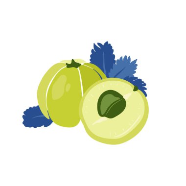 Amla. Tropik meyve ve grafik tasarım elementleri. İçindekiler renk klipsleri. Sketch tarzı smoothie veya meyve suyu içeriği.