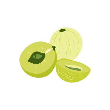 Amla. Tropik meyve ve grafik tasarım elementleri. İçindekiler renk klipsleri. Sketch tarzı smoothie veya meyve suyu içeriği.