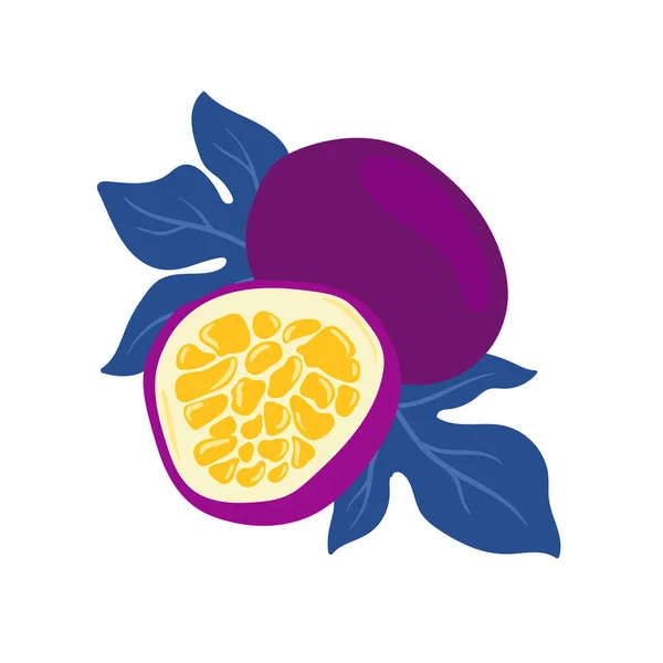 Szenvedély Gyümölcs Trópusi Gyümölcsök Grafikai Elemek Összetevők Színes Előfizetői Sketch — Stock Vector