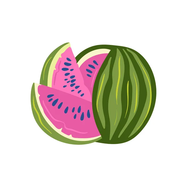 Watermelon Tropical Fruit Graphic Design Elements Ingredients Color Cliparts Sketch — 图库矢量图片