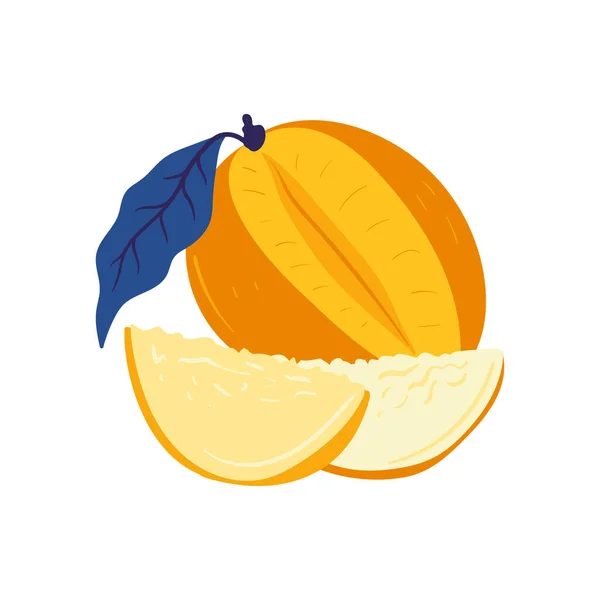 Mango Tropical Fruit Graphic Design Elements Ingredients Color Cliparts Sketch — 图库矢量图片