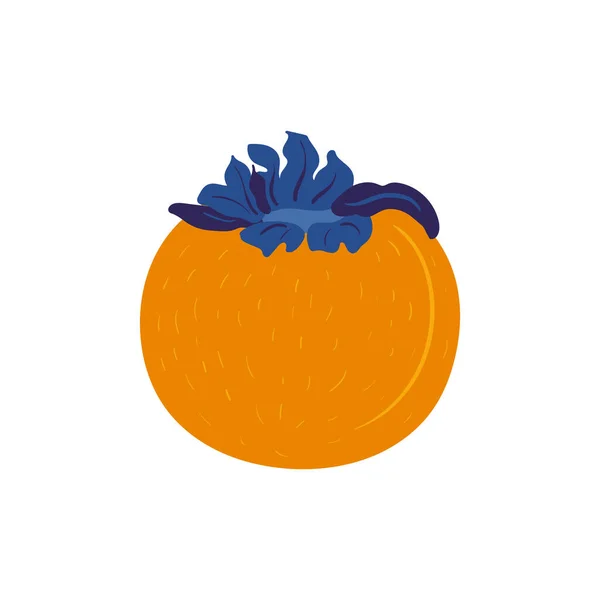 Persimmon Tropical Fruit Graphic Design Elements Ingredients Color Cliparts Sketch — 图库矢量图片