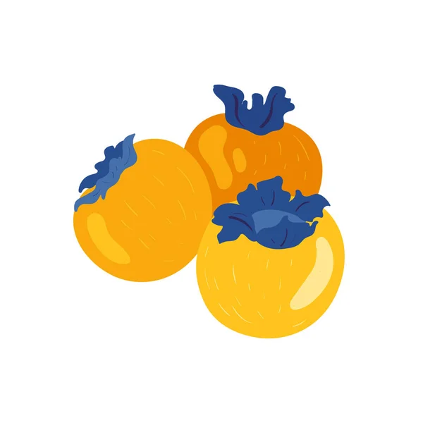 Persimmon Tropical Fruit Graphic Design Elements Ingredients Color Cliparts Sketch — 图库矢量图片