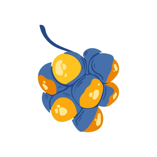 Ackee Fruits Tropicaux Éléments Graphiques Ingrédients Cliparts Couleur Smoothie Style — Image vectorielle