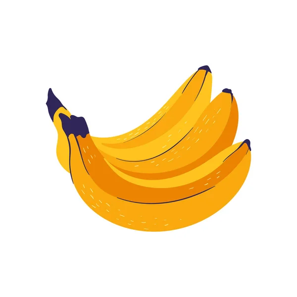 Banana Tropical Fruit Graphic Design Elements Ingredients Color Cliparts Sketch — 图库矢量图片