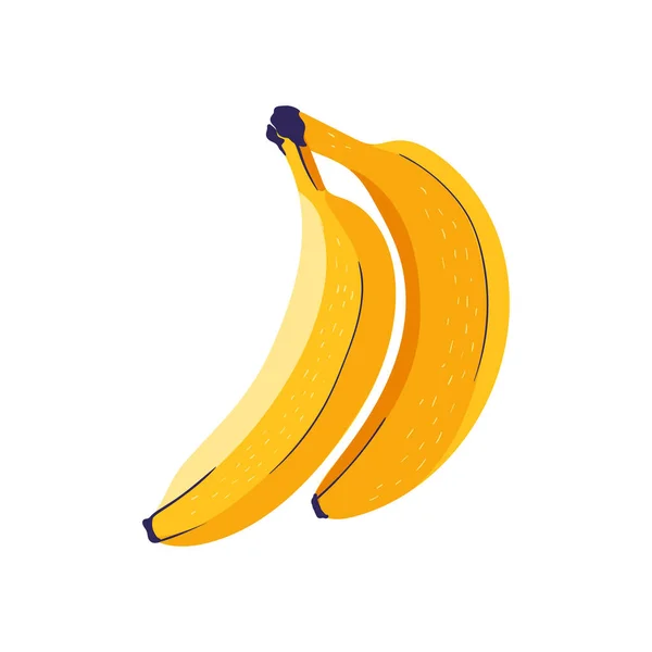 Banan Tropiska Element För Frukt Och Grafisk Design Ingredienser Färg — Stock vektor