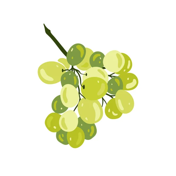 Winogrona Owoce Tropikalne Elementy Graficzne Składniki Kliparty Kolorów Sketch Stylu — Wektor stockowy