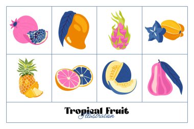 Tropik meyve ve grafik tasarım elementleri koleksiyonu. İçindekiler renk klipsleri. Sketch tarzı smoothie veya meyve suyu içeriği.