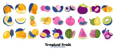 Tropik meyve ve grafik tasarım elementleri koleksiyonu. İçindekiler renk klipsleri. Sketch tarzı smoothie veya meyve suyu içeriği.