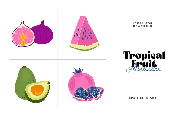 stock vector Tropical fruit and graphic design elements collection. Ingredients color cliparts. Sketch style smoothie or juice ingredients.