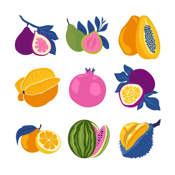 Colección Elementos Diseño Gráfico Frutas Tropicales Ingredientes Cliparts Color Batido — Vector de stock
