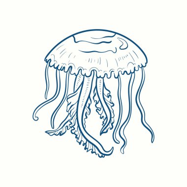 Denizanası elle çizilmiş gerçekçi. Eski usul okyanus doğası. 