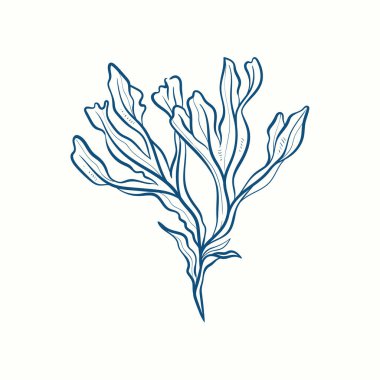 Deniz yosunu siluetleri. Su altı mercan kayalıkları, el yapımı deniz yosunu bitkisi, ıssız deniz otları açık okyanus..