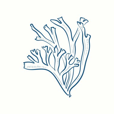 Deniz yosunu siluetleri. Su altı mercan kayalıkları, el yapımı deniz yosunu bitkisi, ıssız deniz otları açık okyanus..