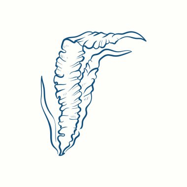 Deniz yosunu siluetleri. Su altı mercan kayalıkları, el yapımı deniz yosunu bitkisi, ıssız deniz otları açık okyanus..