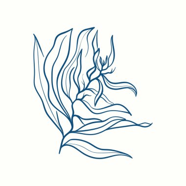 Deniz yosunu siluetleri. Su altı mercan kayalıkları, el yapımı deniz yosunu bitkisi, ıssız deniz otları açık okyanus..