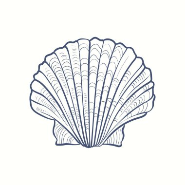 El yapımı gerçekçi deniz kabukları. Çeşitli formlardaki yumuşakçalar: bobinler, spiraller, koniler, deniz tarakları. Eski usul okyanus doğası. 