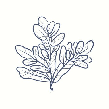 Deniz yosunu siluetleri. Su altı mercan kayalıkları, el yapımı deniz yosunu bitkisi, ıssız deniz otları açık okyanus..