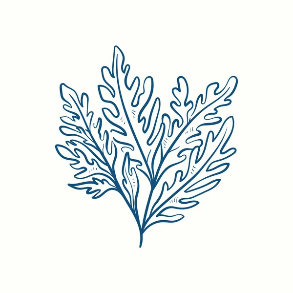 Силуэты Водорослей Подводный Коралловый Риф Растение Ламинарии Ручной Работы Изолированные — стоковый вектор