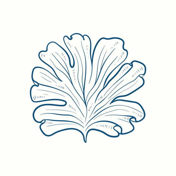Силуэты Водорослей Подводный Коралловый Риф Растение Ламинарии Ручной Работы Изолированные — стоковый вектор