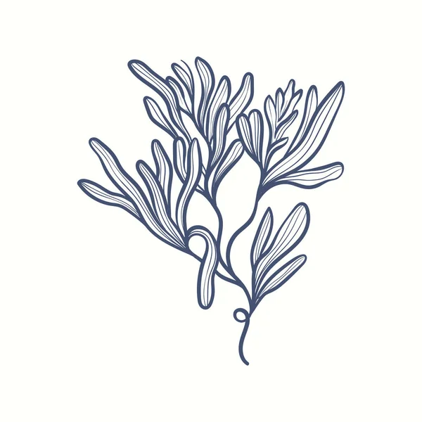 Deniz yosunu siluetleri. Su altı mercan kayalıkları, el yapımı deniz yosunu bitkisi, ıssız deniz otları açık okyanus..