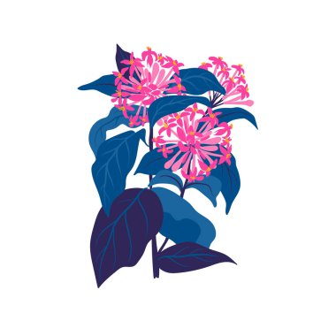 Çiçek elementleri. Çiçek ve yeşil yapraklar. Modern trend Matisse minimal tarzı. Çiçek posteri, davet. Tebrik kartı veya davet tasarımı için vektör düzenlemeleri