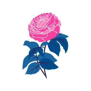 Çiçek elementleri. Çiçek ve yeşil yapraklar. Modern trend Matisse minimal tarzı. Çiçek posteri, davet. Tebrik kartı veya davet tasarımı için vektör düzenlemeleri