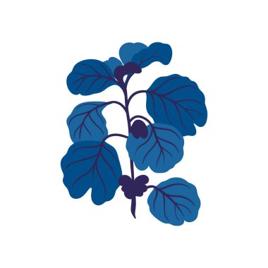 Çiçek elementleri. Çiçek ve yeşil yapraklar. Modern trend Matisse minimal tarzı. Çiçek posteri, davet. Tebrik kartı veya davet tasarımı için vektör düzenlemeleri