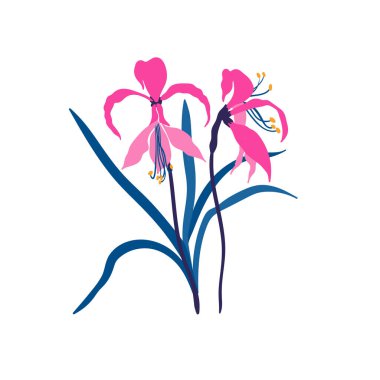 Çiçek elementleri. Çiçek ve yeşil yapraklar. Modern trend Matisse minimal tarzı. Çiçek posteri, davet. Tebrik kartı veya davet tasarımı için vektör düzenlemeleri