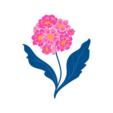 Çiçek elementleri. Çiçek ve yeşil yapraklar. Modern trend Matisse minimal tarzı. Çiçek posteri, davet. Tebrik kartı veya davet tasarımı için vektör düzenlemeleri