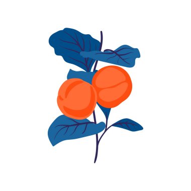 Çiçek elementleri. Çiçek ve yeşil yapraklar. Modern trend Matisse minimal tarzı. Çiçek posteri, davet. Tebrik kartı veya davet tasarımı için vektör düzenlemeleri