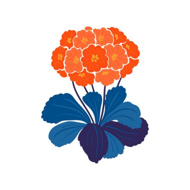 Çiçek elementleri. Çiçek ve yeşil yapraklar. Modern trend Matisse minimal tarzı. Çiçek posteri, davet. Tebrik kartı veya davet tasarımı için vektör düzenlemeleri