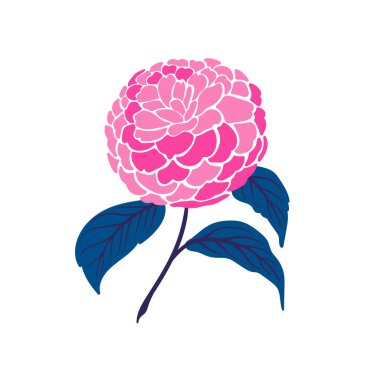 Çiçek elementleri. Çiçek ve yeşil yapraklar. Modern trend Matisse minimal tarzı. Çiçek posteri, davet. Tebrik kartı veya davet tasarımı için vektör düzenlemeleri