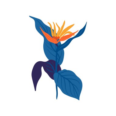 Çiçek elementleri. Çiçek ve yeşil yapraklar. Modern trend Matisse minimal tarzı. Çiçek posteri, davet. Tebrik kartı veya davet tasarımı için vektör düzenlemeleri