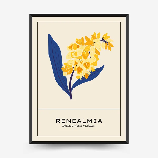 Abstract Floral Posters Template Modern Trendy Matisse Minimal Style — Vettoriale Stock