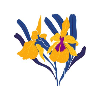 Çiçek elementleri. Çiçek ve yeşil yapraklar. Modern trend Matisse minimal tarzı. Çiçek posteri, davet. Tebrik kartı veya davet tasarımı için vektör düzenlemeleri