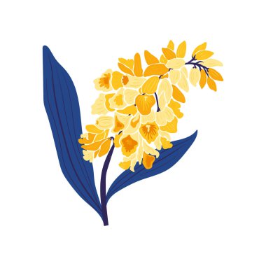 Çiçek elementleri. Çiçek ve yeşil yapraklar. Modern trend Matisse minimal tarzı. Çiçek posteri, davet. Tebrik kartı veya davet tasarımı için vektör düzenlemeleri