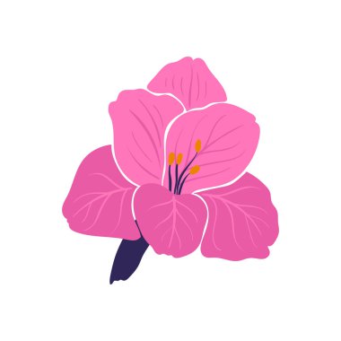 Çiçek elementleri. Çiçek ve yeşil yapraklar. Modern trend Matisse minimal tarzı. Çiçek posteri, davet. Tebrik kartı veya davet tasarımı için vektör düzenlemeleri