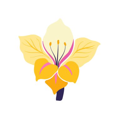 Çiçek elementleri. Çiçek ve yeşil yapraklar. Modern trend Matisse minimal tarzı. Çiçek posteri, davet. Tebrik kartı veya davet tasarımı için vektör düzenlemeleri