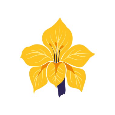 Çiçek elementleri. Çiçek ve yeşil yapraklar. Modern trend Matisse minimal tarzı. Çiçek posteri, davet. Tebrik kartı veya davet tasarımı için vektör düzenlemeleri