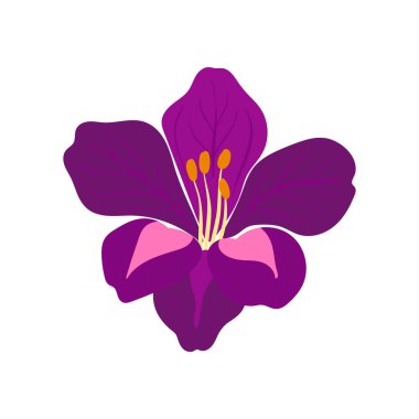 Çiçek elementleri. Çiçek ve yeşil yapraklar. Modern trend Matisse minimal tarzı. Çiçek posteri, davet. Tebrik kartı veya davet tasarımı için vektör düzenlemeleri