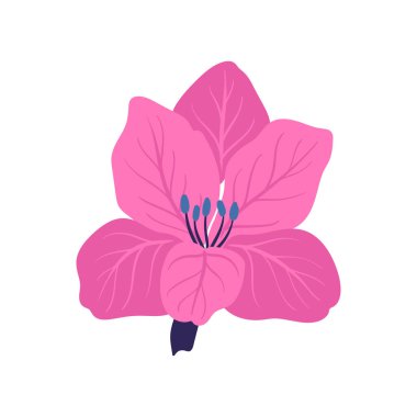 Çiçek elementleri. Çiçek ve yeşil yapraklar. Modern trend Matisse minimal tarzı. Çiçek posteri, davet. Tebrik kartı veya davet tasarımı için vektör düzenlemeleri