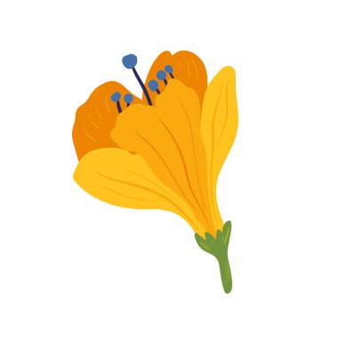 Çiçek elementleri. Çiçek ve yeşil yapraklar. Modern trend Matisse minimal tarzı. Çiçek posteri, davet. Tebrik kartı veya davet tasarımı için vektör düzenlemeleri