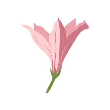 Çiçek elementleri. Çiçek ve yeşil yapraklar. Modern trend Matisse minimal tarzı. Çiçek posteri, davet. Tebrik kartı veya davet tasarımı için vektör düzenlemeleri