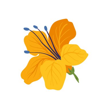 Çiçek elementleri. Çiçek ve yeşil yapraklar. Modern trend Matisse minimal tarzı. Çiçek posteri, davet. Tebrik kartı veya davet tasarımı için vektör düzenlemeleri