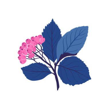 Çiçek elementleri. Çiçek ve yeşil yapraklar. Modern trend Matisse minimal tarzı. Çiçek posteri, davet. Tebrik kartı veya davet tasarımı için vektör düzenlemeleri