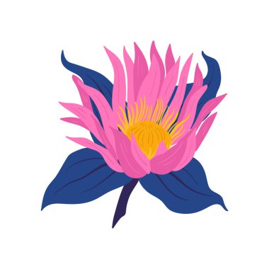 Çiçek elementleri. Çiçek ve yeşil yapraklar. Modern trend Matisse minimal tarzı. Çiçek posteri, davet. Tebrik kartı veya davet tasarımı için vektör düzenlemeleri