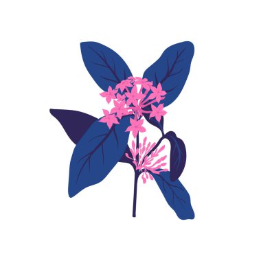 Çiçek elementleri. Çiçek ve yeşil yapraklar. Modern trend Matisse minimal tarzı. Çiçek posteri, davet. Tebrik kartı veya davet tasarımı için vektör düzenlemeleri