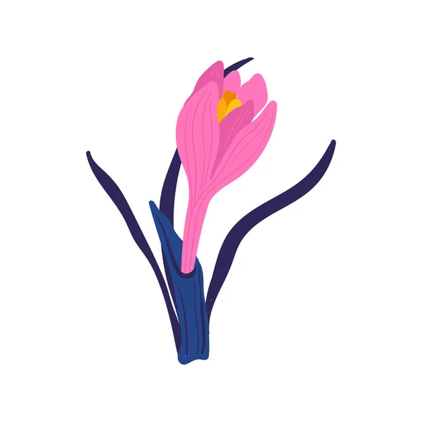 Çiçek Elementleri Çiçek Yeşil Yapraklar Modern Trend Matisse Minimal Tarzı — Stok Vektör